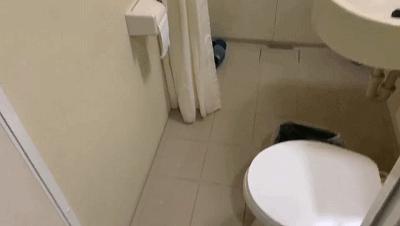 如家7天汉庭,如家7天速8