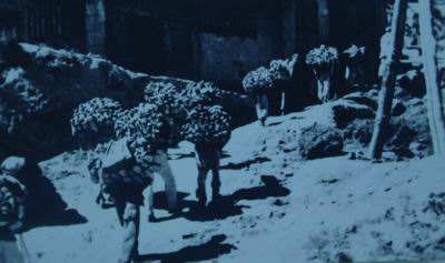 八路军和美国记者,八路军面对美国记者