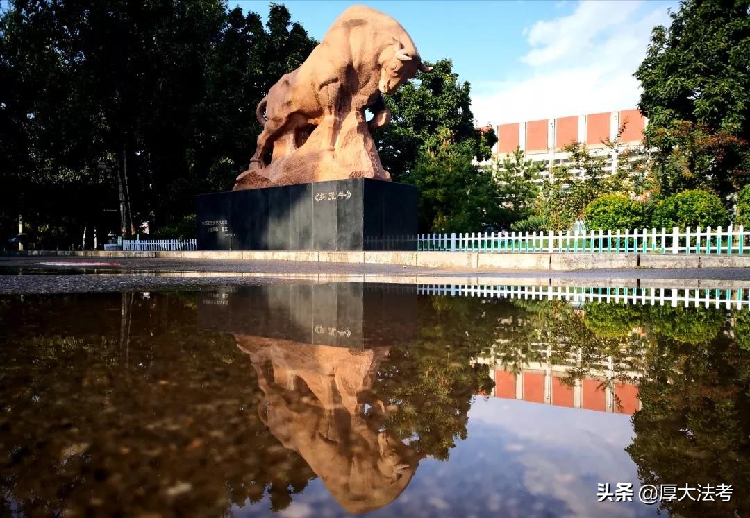 列举罗翔讲的刑法,罗翔讲刑法感动案件