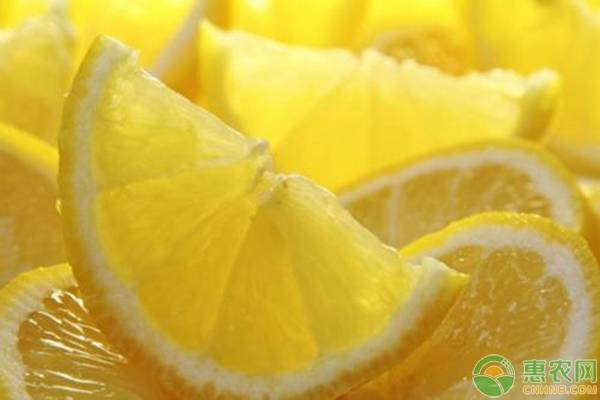 柠檬种植技术方法和管理,柠檬种植技巧和管理视频