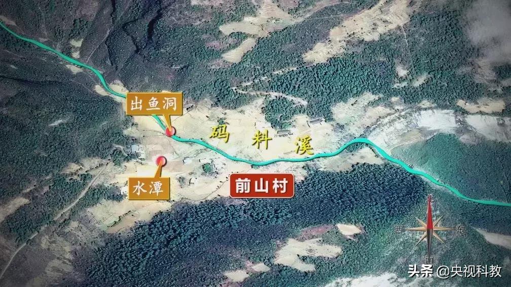 鱼泉洞穴,会冒鱼的山洞是什么