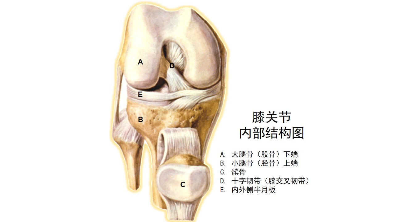 15岁孩子运动后膝盖疼什么原因,孩子一运动就说膝盖疼是怎么回事