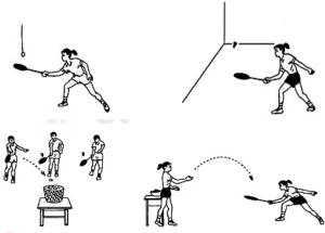 教师资格证体育课题,教师资格证面试小学体育教案