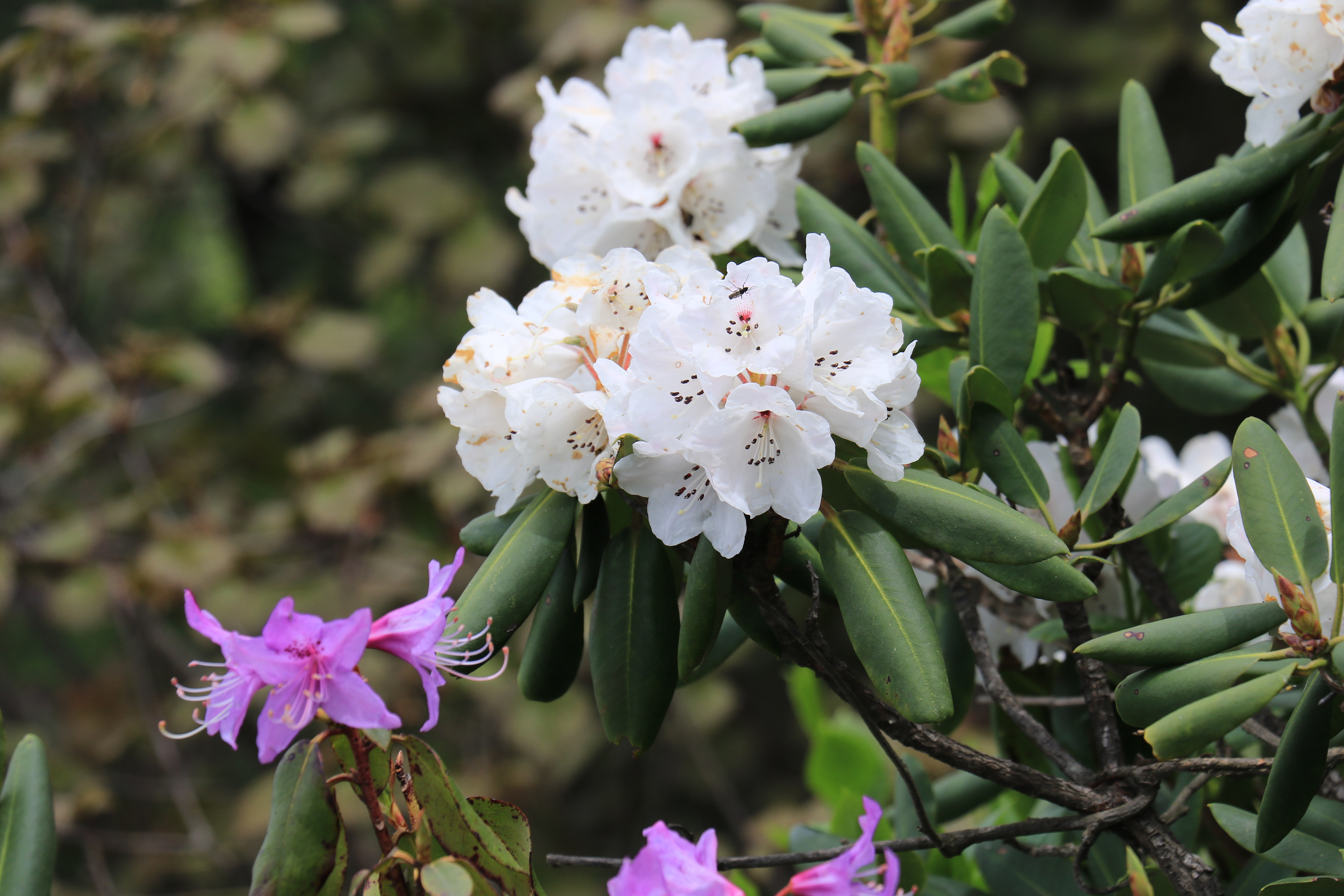 找个keyi治愈心情不好的地方.......