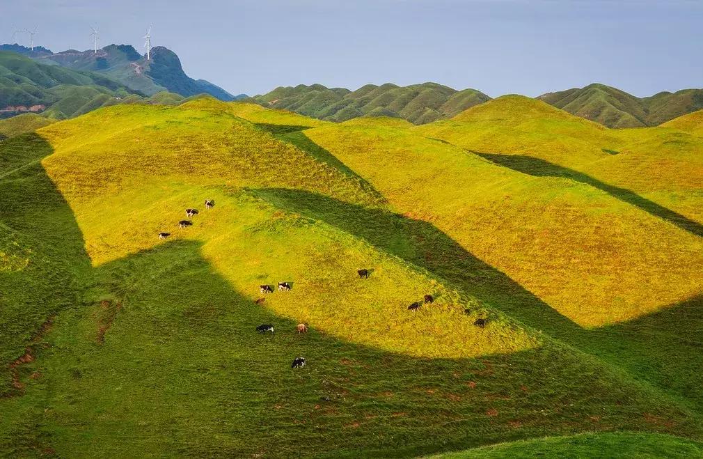 川西彩林自驾风景,川西三大草原绝美自驾游