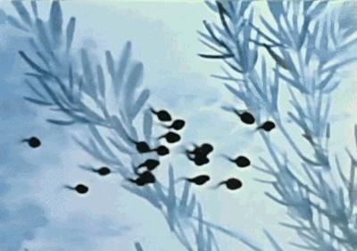 最具水准的中国水墨动画,中国水墨动画合集