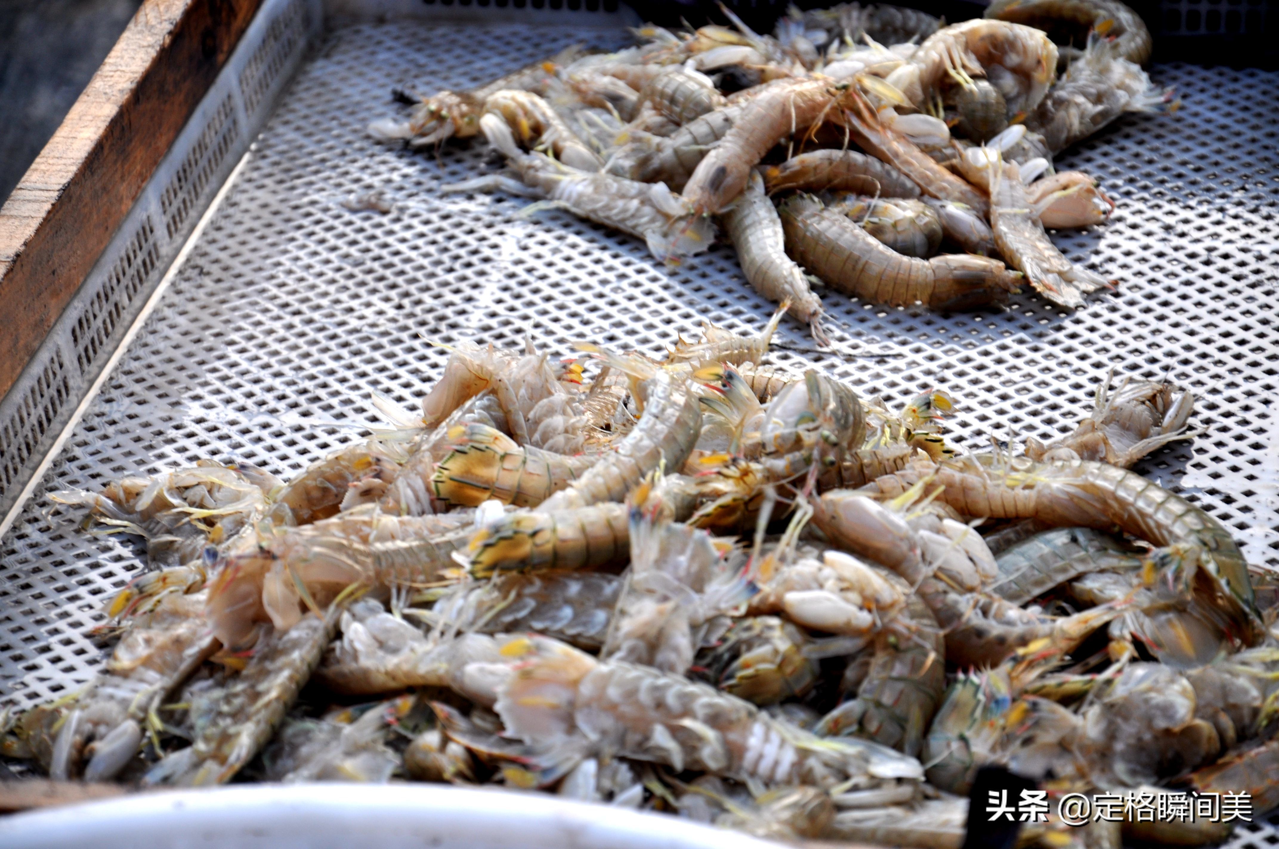 青岛批发市场海虾,青岛早市海虾