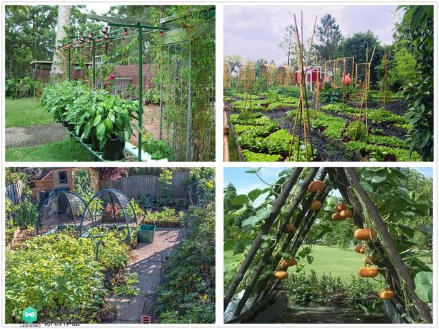 庭院菜园怎么设计最好看？264张案例图+布置详解！简直太实用了