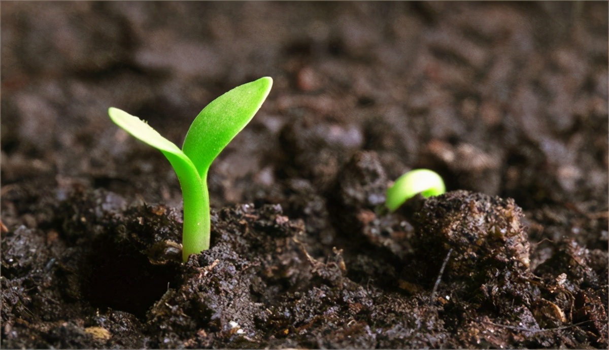 5亿人口的迁徙，从男性到女性体内，小蝌蚪到底都经历了什么？