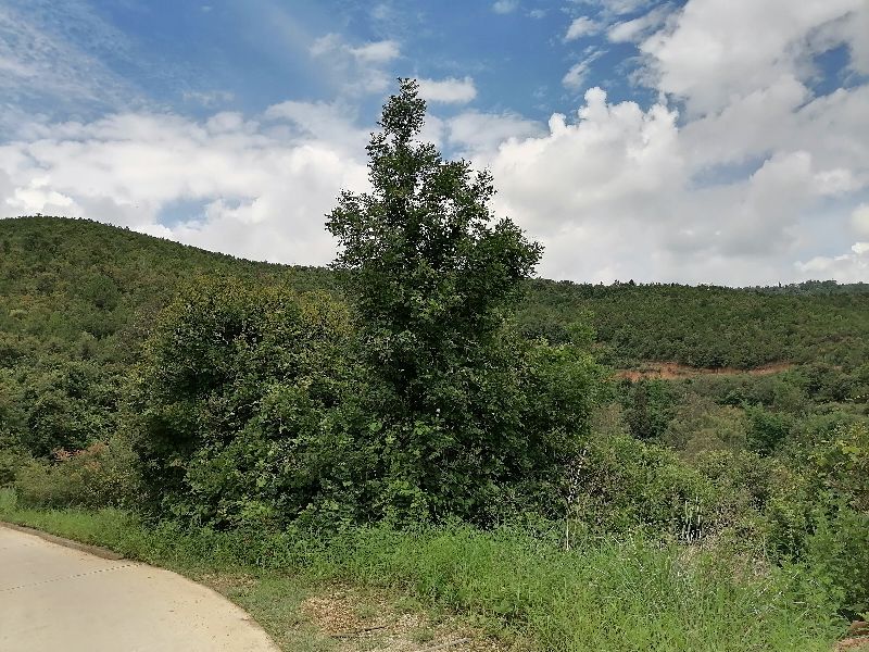 怎样解决孩子心理问题,如何解决孩子的情绪问题