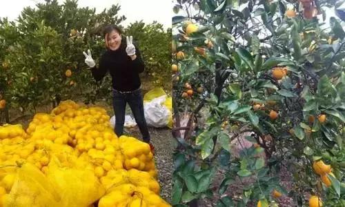 40岁大叔钓鱼,40岁大叔买下一座岛