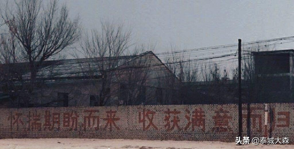 怎样提高法考刷题效率,如何刷题最快最有效率