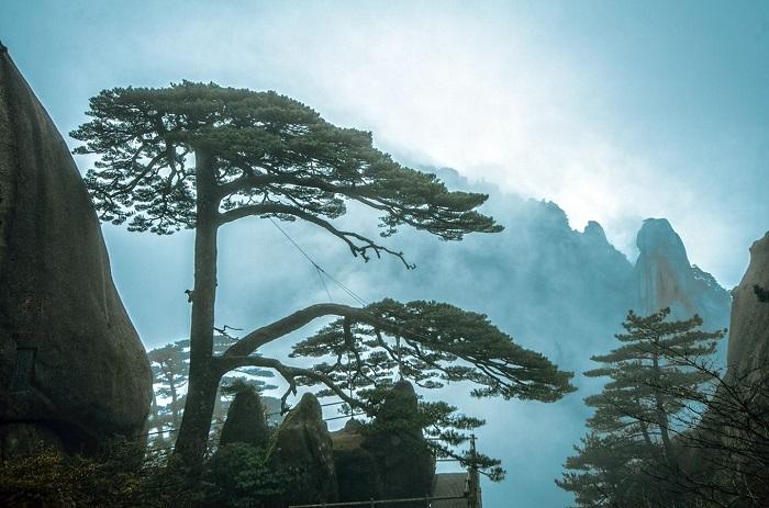 合肥周边适合带孩子自驾游的地方,合肥周边风景游玩