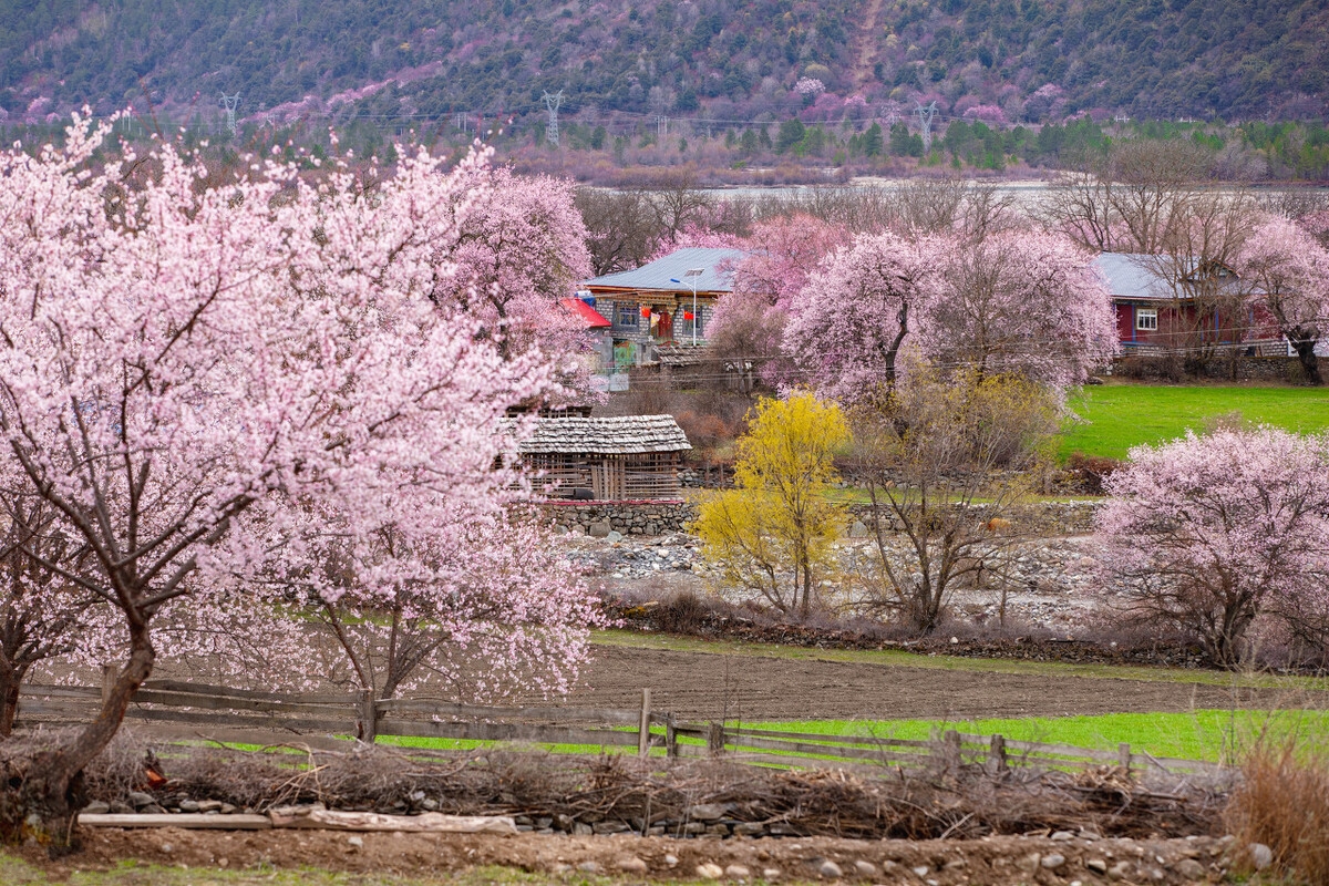 春季自驾游最美路线推荐,春季适合自驾游路线推荐
