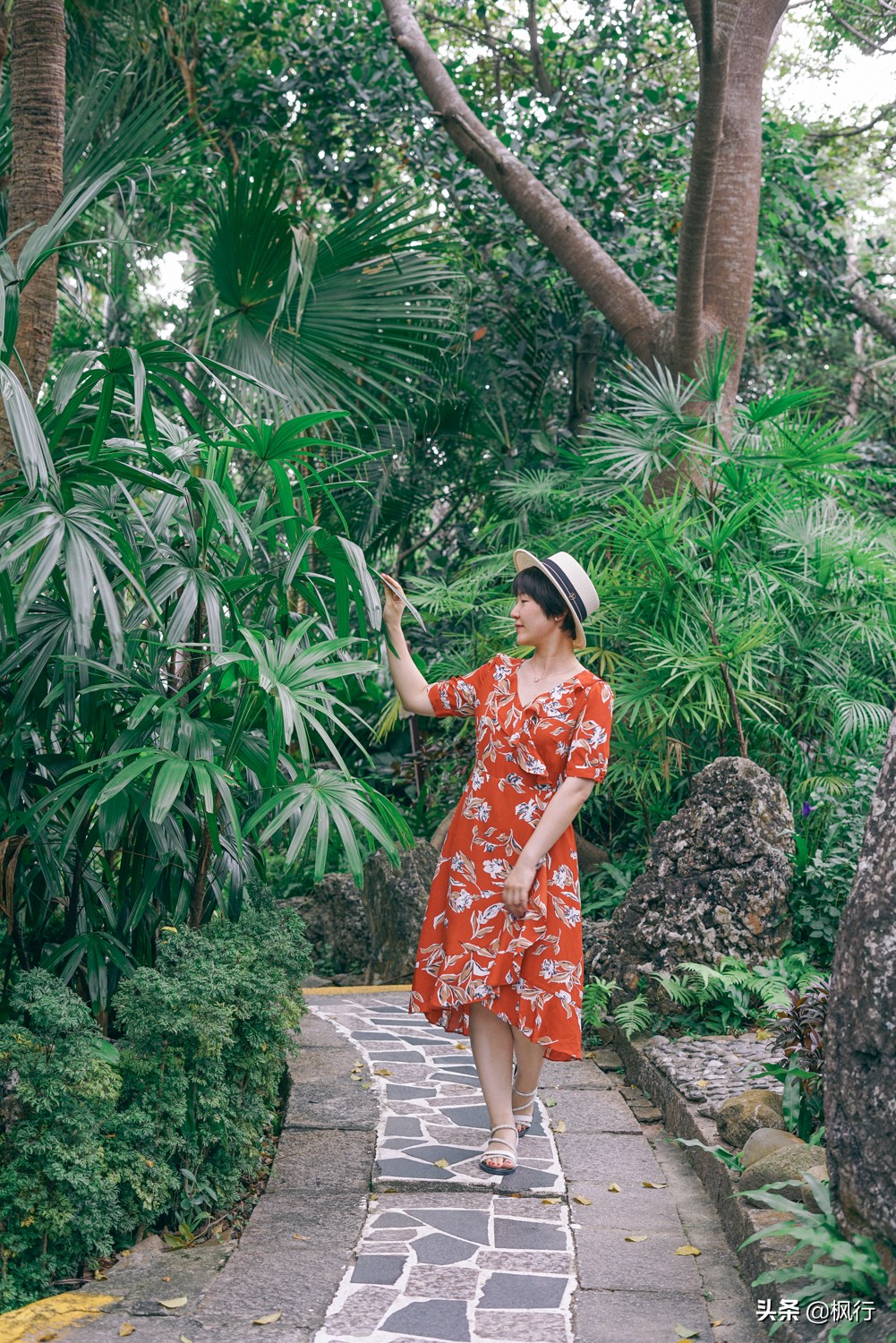 被猴子袭击，门票昂贵，拍照被轰，被我全程吐槽的三亚到底值不值