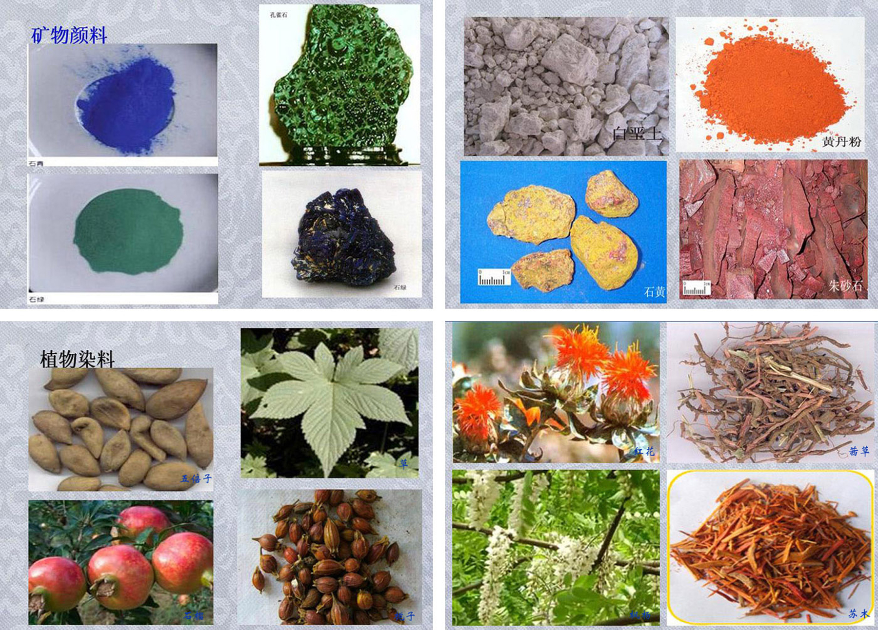 植物染色基本步骤和染色时间,国染馆