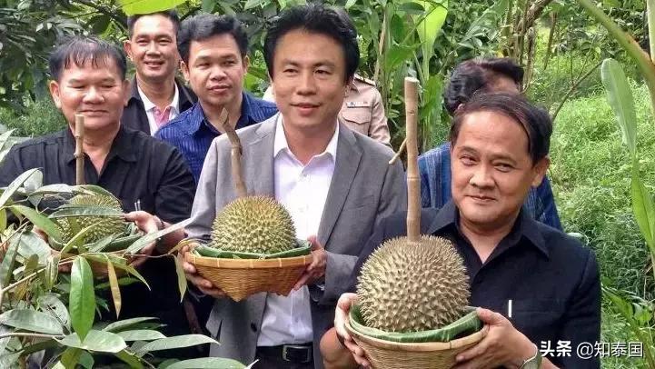 榴莲为啥价格相差那么多,为什么是天价榴莲