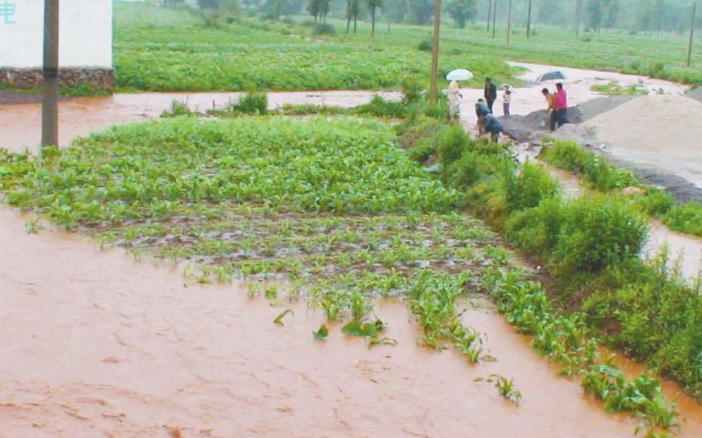 什么时候入伏第三伏天,三伏天入伏注意什么