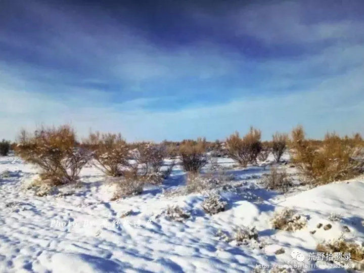 荒野拾遗录,荒野拾遗录完整