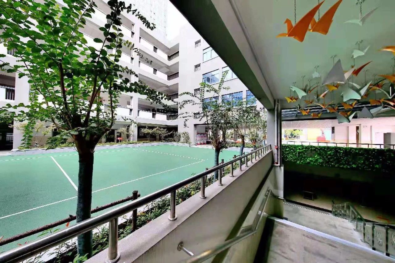 名校力量|原来你是这样优秀的科利华