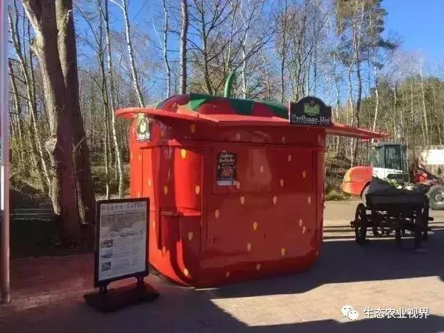 用一颗草莓吸引5百万游客,开5家主题乐园、4家超市、300个草莓屋