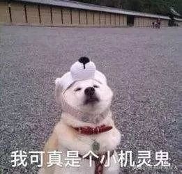 这10款小众纯牛奶，国货之光，我赌100包辣条，第一款你就没喝过