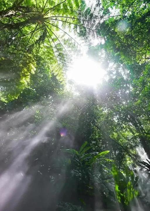 不离深也能“游”|公园超全攻略来了！千园之城，总有一款公园适合你