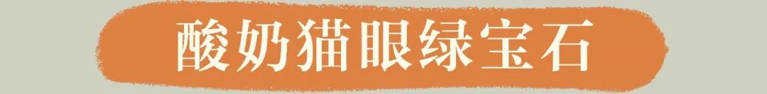 奈雪猫猫杯,奈雪猫杯