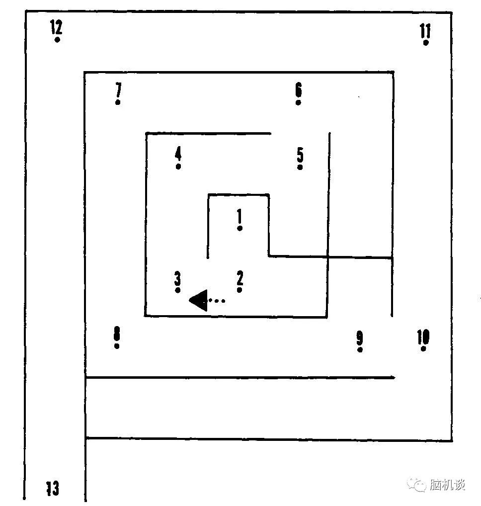 ​《脑机往事（3）—维达尔的秘密》