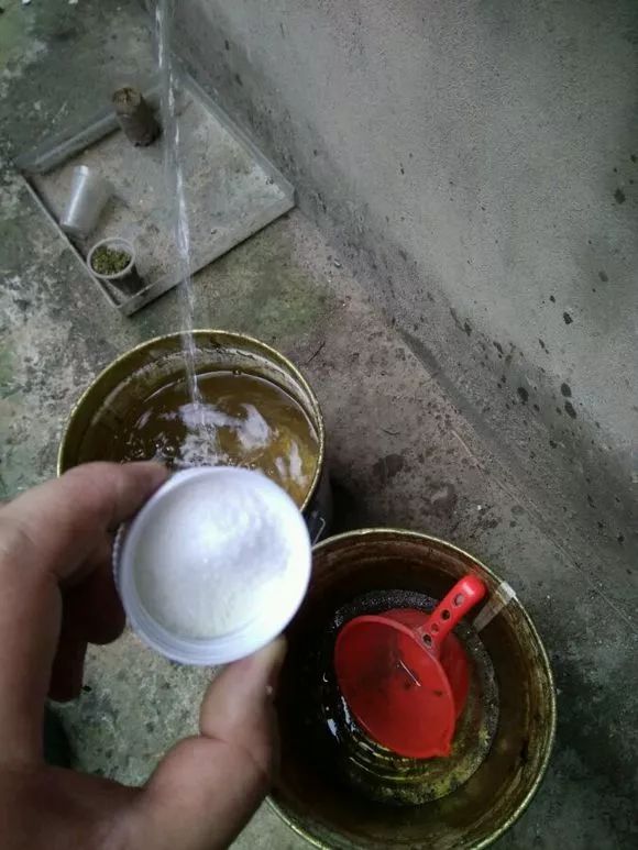 养花用多菌灵和磷酸二氢钾,养花磷酸二氢钾如何正确使用