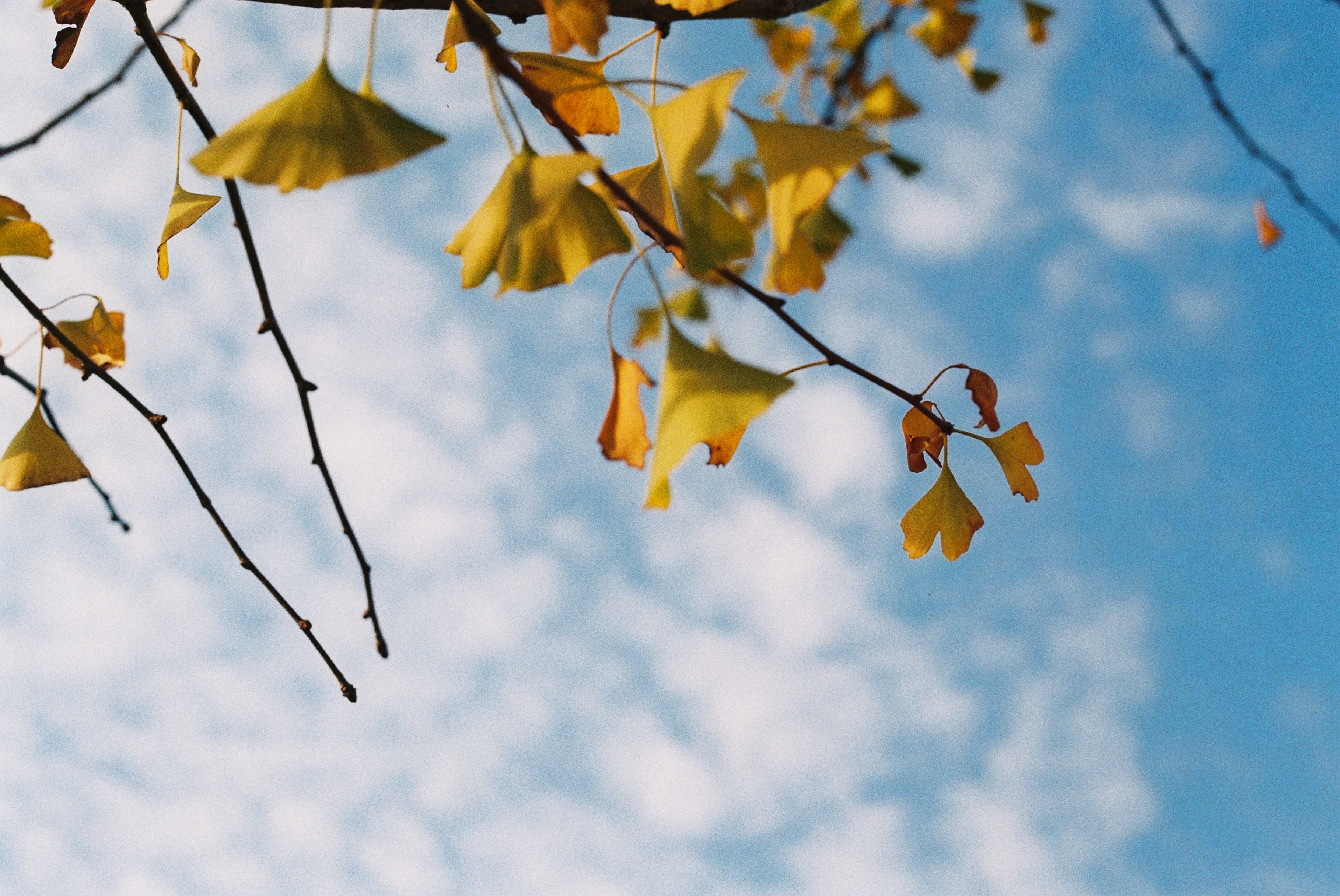 第一次拍了胶片怎么冲洗,坚持胶片拍摄的感受