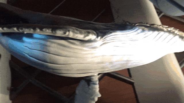 开放首日实探国家海洋博物馆，史上最抢手博物馆究竟长什么样