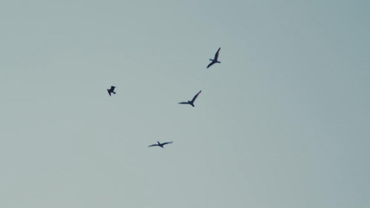 运背暂落魄重振待来时