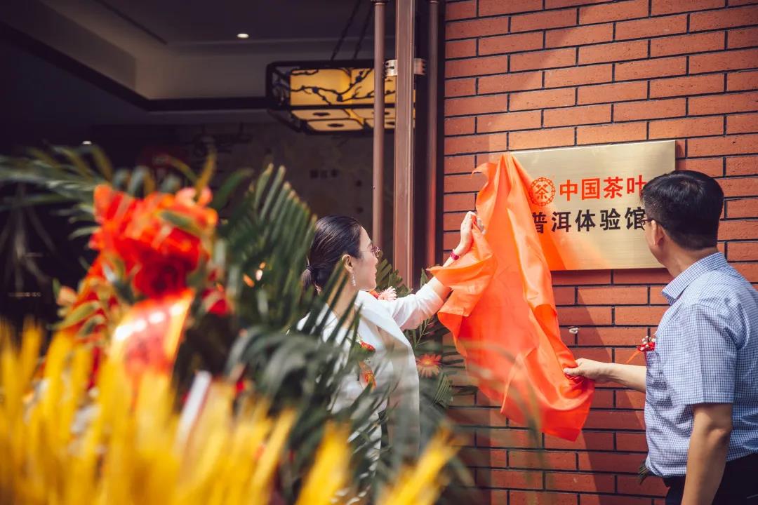 潍坊春季茶叶博览会门票,潍坊中国茶叶