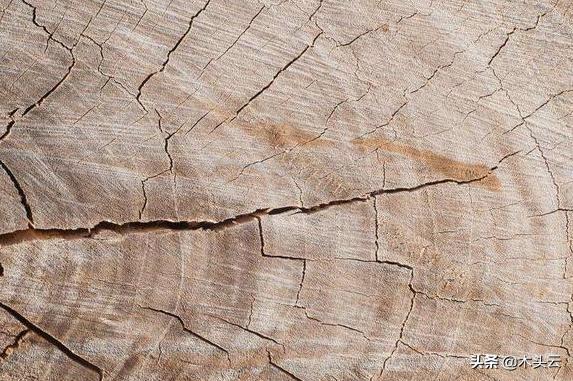 木材可以在水里存放吗,木材放水里需要做什么处理