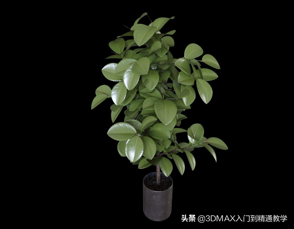 耗时59万秒制作的视频,效果图都是怎么做出来的