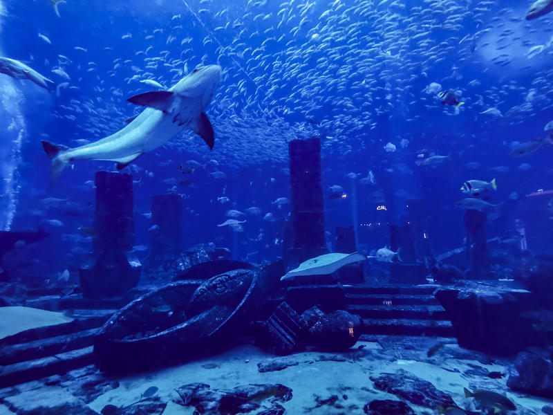 沙漠浪漫之旅迪拜,从天空进入海底