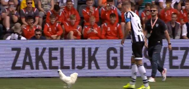 萌死人不偿命解说,萌死人不偿命