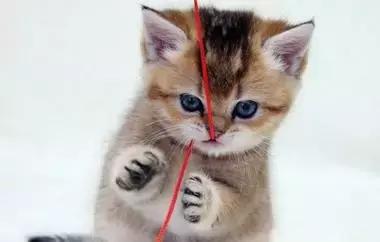 最容易读错的106个多音字赶快收藏,必背50个常见多音字你会几个