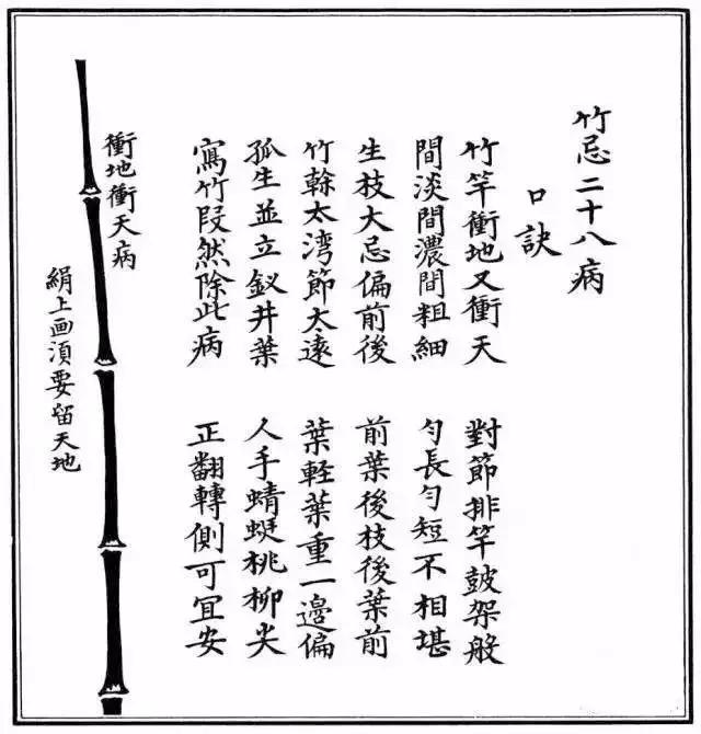 不带叶子的竹子怎么画,不会画画的竹子