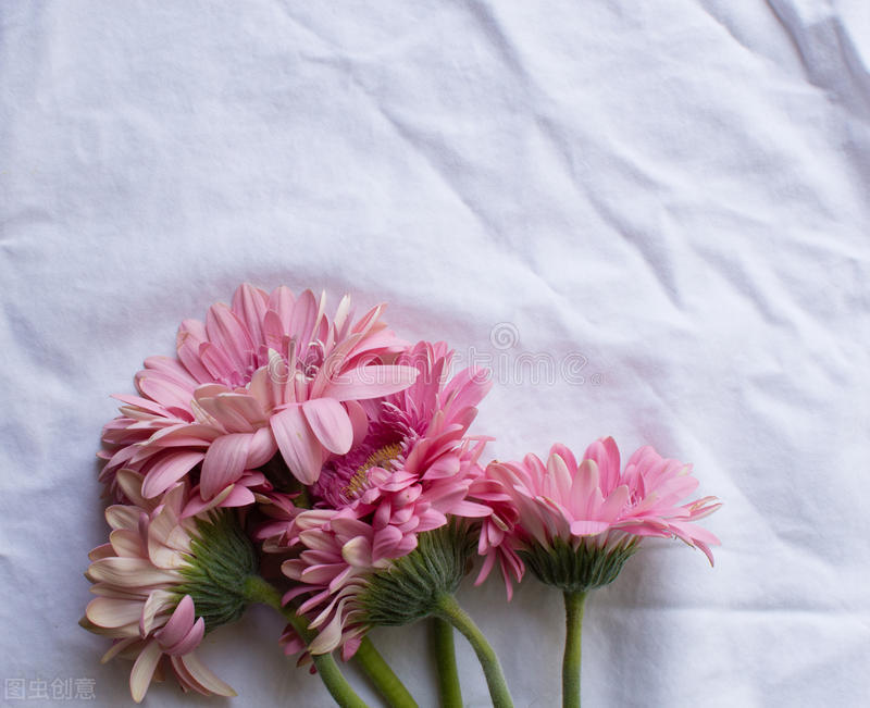 说说双子座最讨厌的星座是什么,双子座讨厌你会彻底删微信吗