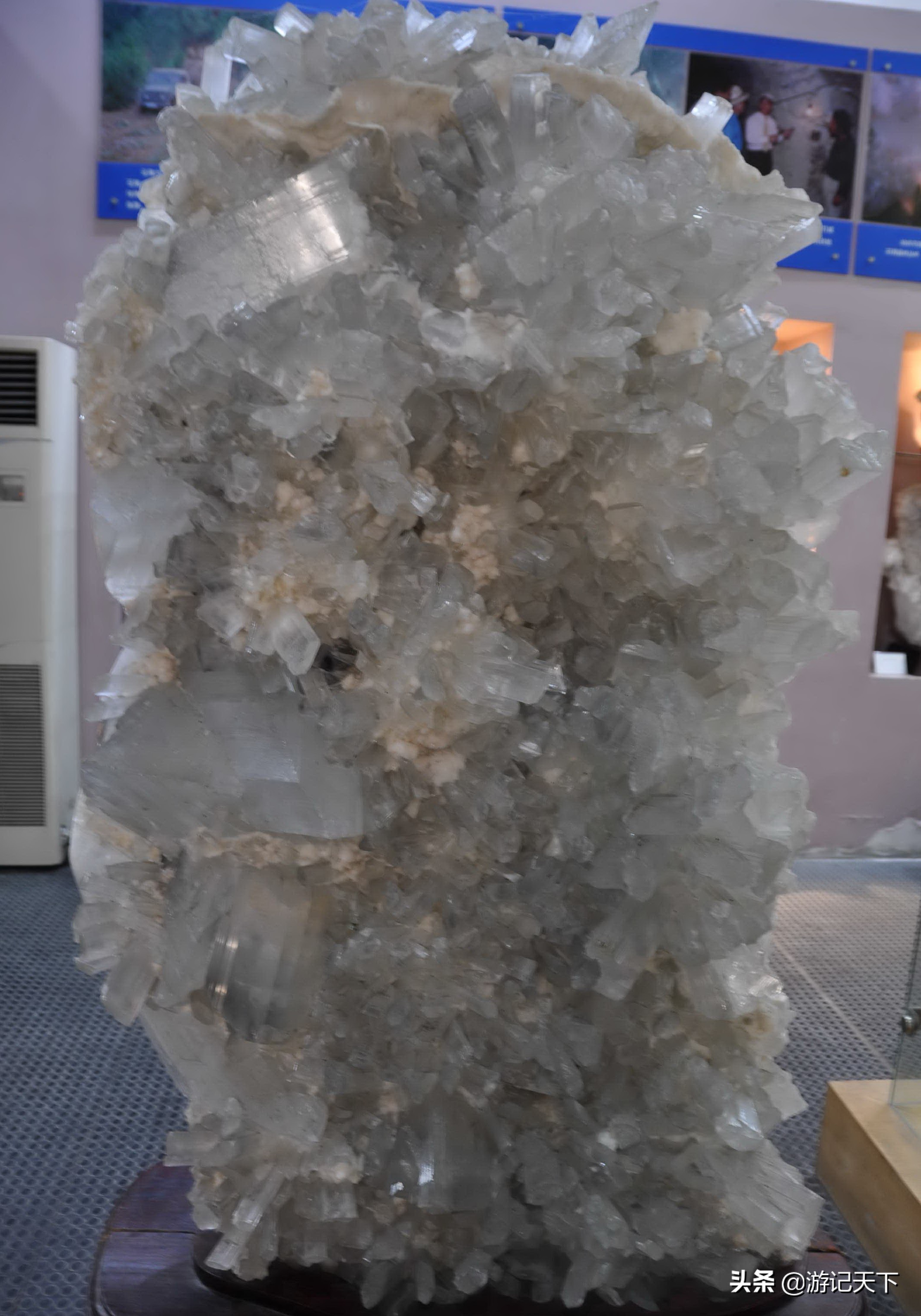 阿尼亚参观博物馆,上海地质科普馆游玩