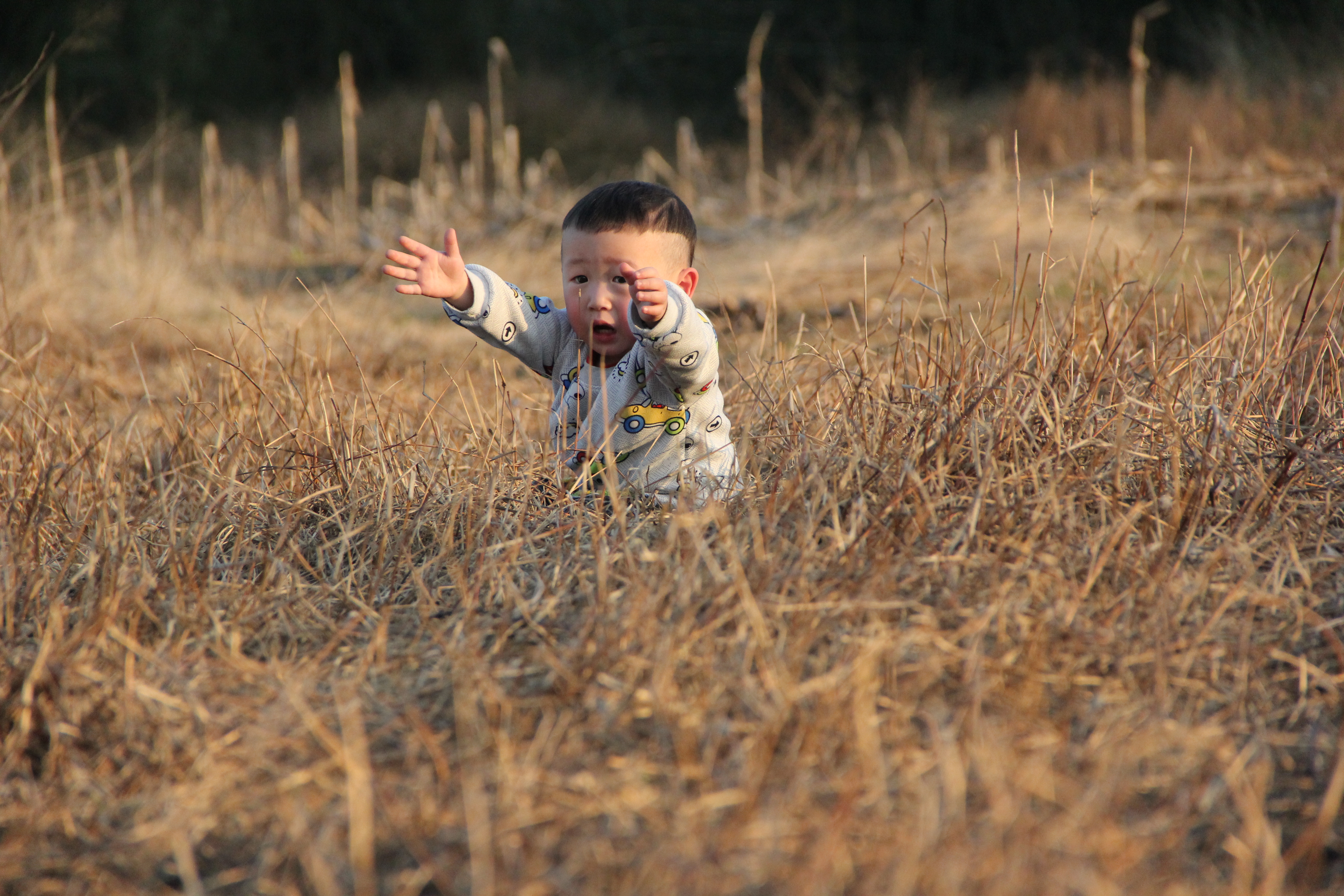 二手单反相机容易坏吗,买二手单反要注意什么问题