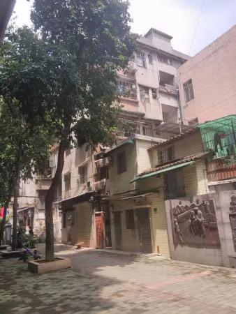 越秀区黄花小学,越秀区华侨小学学位房