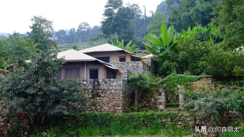 野奢帐篷酒店,轻奢帐篷酒店真实感受