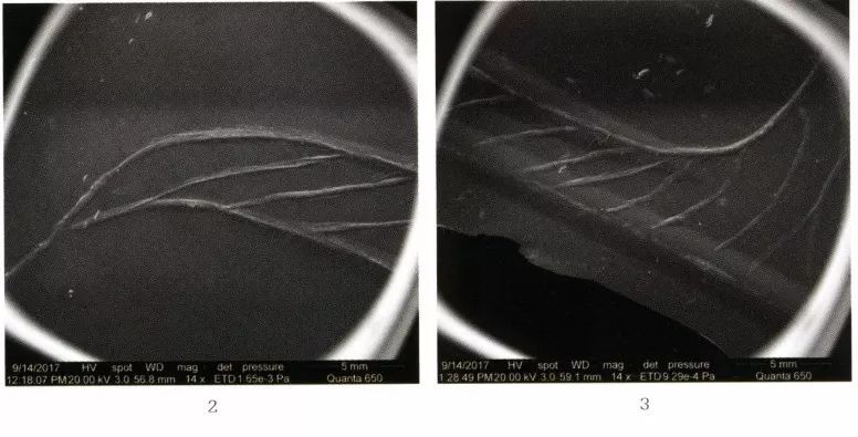 徐州狮子山楚王陵玉器,狮子山楚王出土玉器