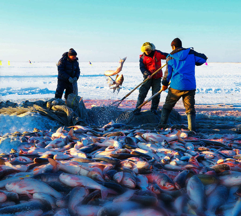 东北全鱼宴 (东北最正宗的全鱼宴)