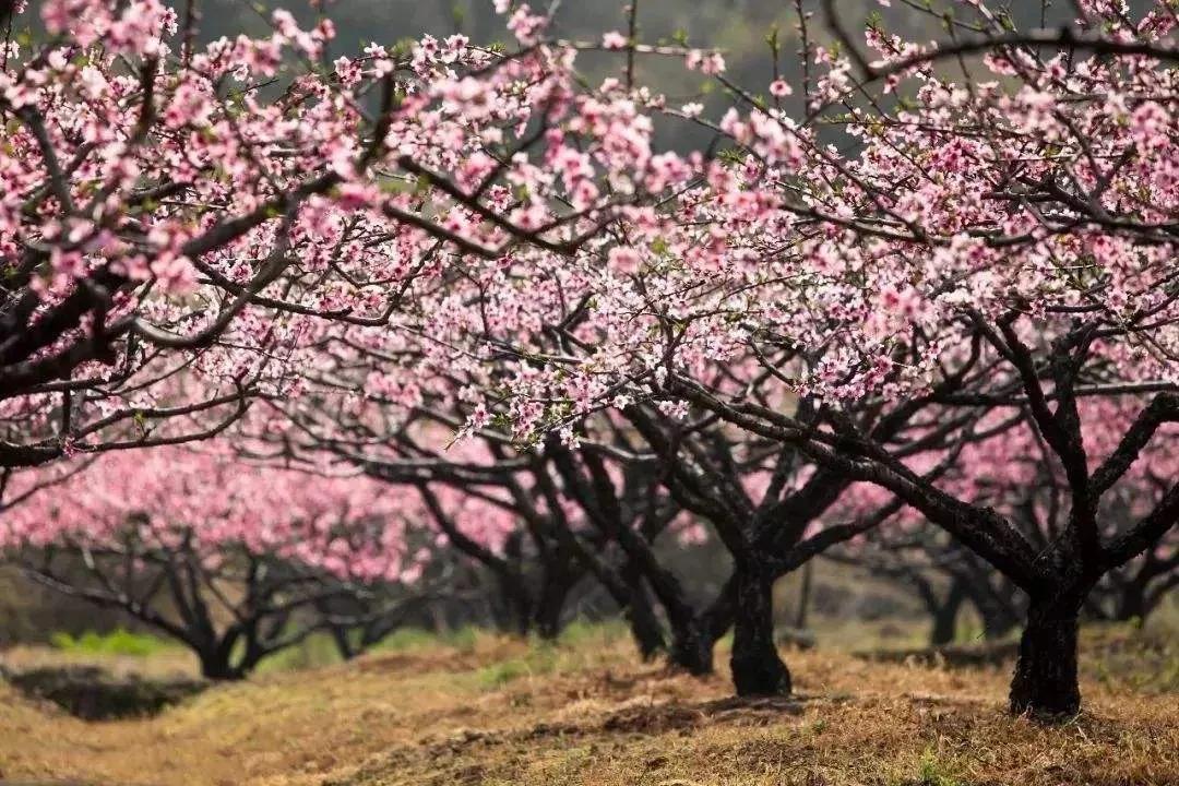 昌吉五家渠市,昌吉乌鲁木齐五家渠