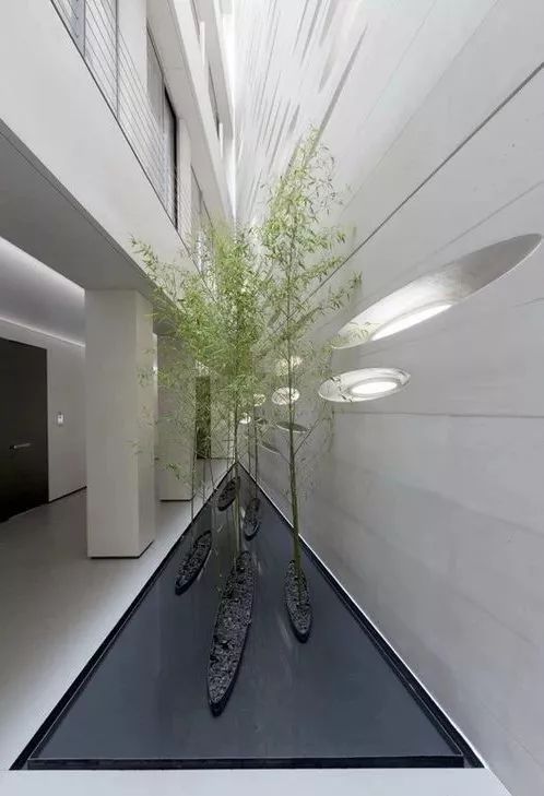 室内做的景观,室内景观打造过程