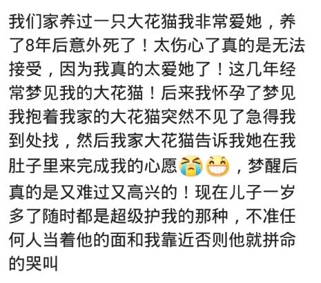 怀孕的时候梦到大黑蛇生了个男孩,怀孕梦到一堆蛇追自己的宝宝